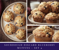 Sourdough Blueberry Muffins - set 4