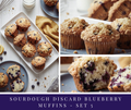 Sourdough Blueberry Muffins - set 5
